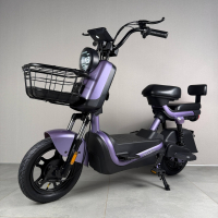 Електровелосипед EVOBIKE ATLAS PRO фіолет 800W 60V 20Ah | з PAS системою, з кошиком та сидінням для іншого пасажира