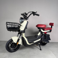 Електровелосипед EVOBIKE ATLAS Cream White 600W 48V 20Ah | з PAS системою, з кошиком та сидінням для іншого пасажира