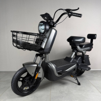 Электровелосипед EVOBIKE ATLAS PRO Gray 800W 60V 20Ah | с PAS системой, с корзиной и сидением для другого пассажира 