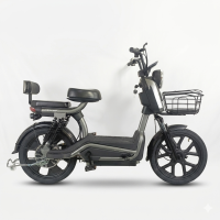 Електровелосипед EVOBIKE ATLAS MAX GRAY 800W 60V 20Ah | з PAS системою, з кошиком та сидінням для іншого пасажира