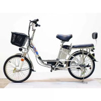 Электровелосипед Gofun (48V, 10Ah, 350W) колеса 20" с спицами