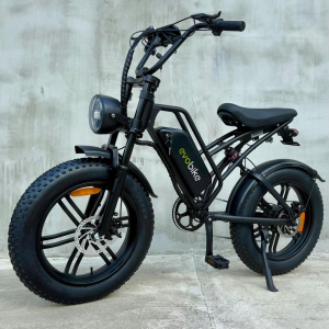 [NEW 2026] Електрофетбайк EVOBIKE e-Motion V9 60V 21Ah PAS-System — потужний електровелосипед на колесах 20x4
