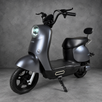 EVOBIKE UNO Graphene 600W 48V 20Ah графіт — міський електровелосипед із графеновим акумулятором, двомісний, LED-дисплей, подвійна амортизація, до 35 км/год, сигналізація, поворотники