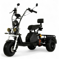 Триколісний електровелосипед EVOBIKE Grizzly X3 Чорний | 2000W | 21Ah 48V | з вантажним багажником