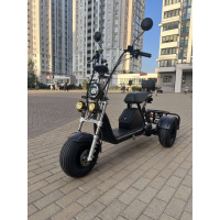 Триколісний електровелосипед EVOBIKE Grizzly X3 Чорний | 2500W | 21Ah 48V | з вантажним багажником