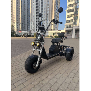 Трехколесный электровелосипед EVOBIKE Grizzly X3 Черный 2500W | 21Ah 48V | с грузовым багажником