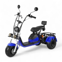 Трехколесный электровелосипед EVOBIKE Grizzly X3 Синий 2000W | 21Ah 48V | с грузовым багажником