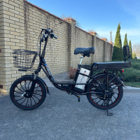 Электровелосипед Green Giant U18 Eco 20 дюймов (600 W 48 V 26 Ан) Черный