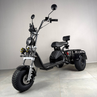 New Триколісний електровелосипед EVOBIKE Grizzly X3 Чорний | 2500W | 21Ah 48V | з вантажним багажником
