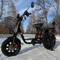 Электровелосипед (электрофетбайк) KUGOO Kirin V3 PRO Off-road на зимней шипованной резине 2025