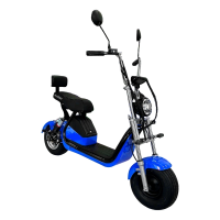 Електровелосипед EVOBIKE Spark X2  Cиній | 2000W | 48V 21Ah | CityCoco | безкамерні колеса 15×6