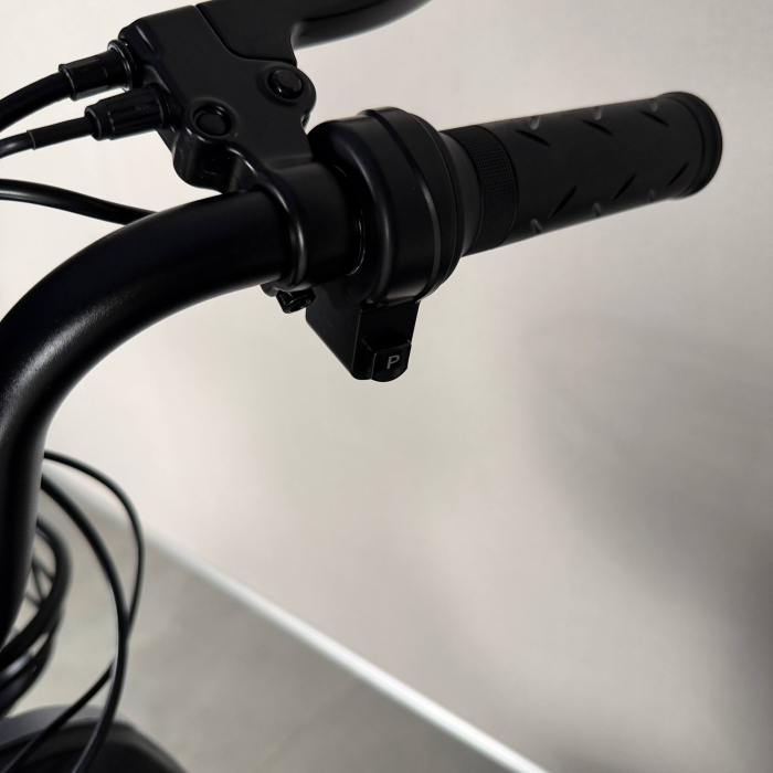 EVOBIKE YOTA 800W 48V 20Ah графіт — двомісний міський електровелосипед із графеновим акумулятором, переднім металевим кошиком, подвійною амортизацією, LED-дисплеєм, сигналізацією, поворотниками, до 35 км/год