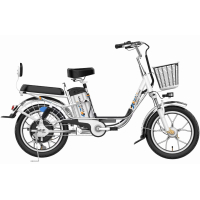 Електровелосипед Green Giant (48V 18Ah 600W) колеса 18"